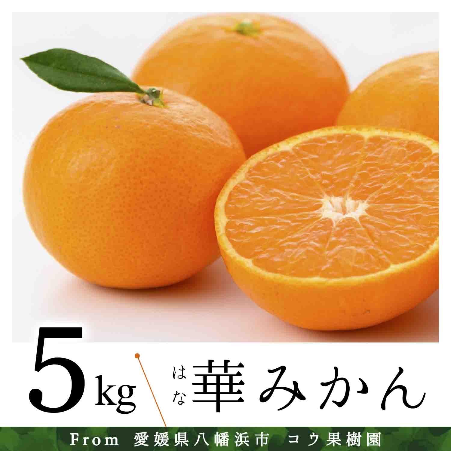 
                  コウ果樹園の華みかん5kg＜A33-38＞_みかん ミカン 柑橘 フルーツ 果物 くだもの 完熟 産直 産地直送 甘い ジューシー 糖度 愛媛 おすすめ 人気 送料無料【1491967】 YWTG020
                