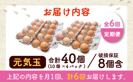 【全6回定期便】平飼い新鮮たまご 元気玉 計40個(10個×4パック) / 卵 ぷりぷり 新鮮 玉子 オムレツ たまごかけごはん 朝食 鶏卵 平飼い 濃厚 こく 熊本県 菊陽町【ぴよっこファーム】[B