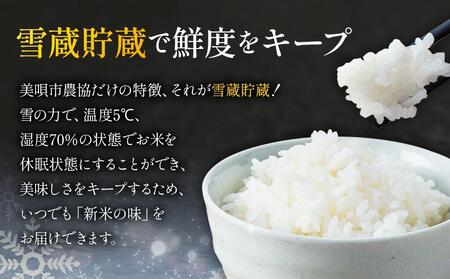 おぼろづき 10kg 雪蔵工房 幻の米   【令和7年産】【おぼろづき
