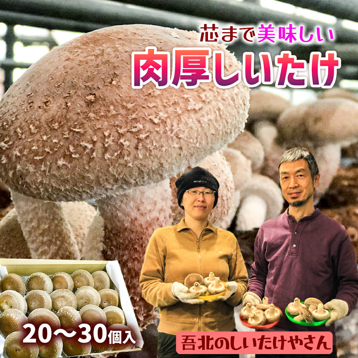 【ふるさと納税】2024年11月頃から発送★芯まで美味しい肉厚しいたけ
