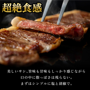 黒毛和牛サーロインステーキ(180g×2枚　計360g) 北海道石狩市