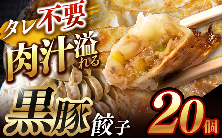  肉汁 溢れる『 黒豚餃子 』 20個 | 餃子 ぎょうざ お手軽 小分け 冷凍 冷凍食品 おかず 豚肉