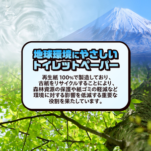 おもしろ トイレットペーパー 笑い文字 いいこといっぱいやってくる ダブル 100ロール 個包装 再生紙100％ 満面 笑顔 筆文字 リサイクル プリント 大容量 日用品 日用雑貨 消耗品 備蓄 防災
