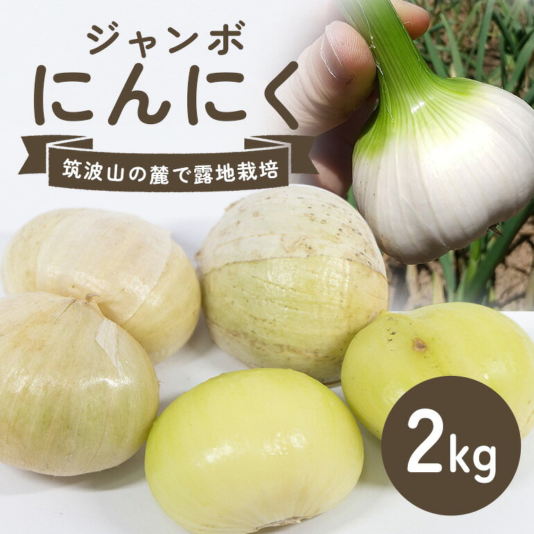 【ふるさと納税】ジャンボにんにく2kg にんにく 有機 産地直送 茨城県 石岡市 B03-017