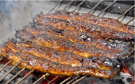 うなぎ松岡蒲焼5本 うなぎ うなぎ うなぎ うなぎ うなぎ