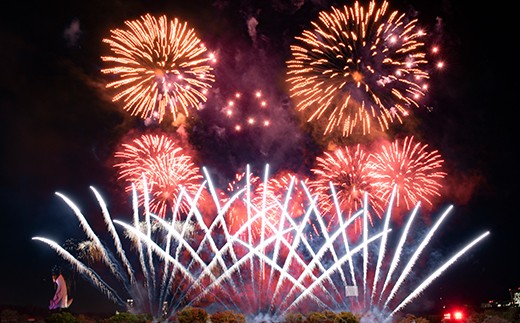 【66-05】第4回 万博夜空がアートになる日 花火鑑賞チケット VIPシート ペアチケット（2名様分）