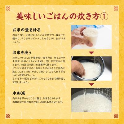 ふるさと納税 八代市 《令和7年産》 鶴喰米 精米27kg くまさんの輝き 米 精米 白米_094-6333 |  | 02