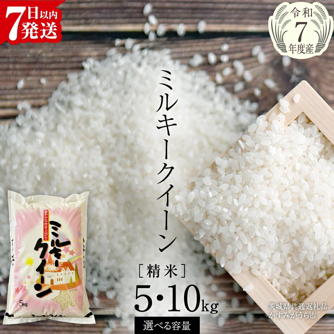 【ふるさと納税】【令和7年産】 ミルキークイーン 精米 5kg 10kg（茨城県共通返礼品 かすみがうら市産） 新米 米 ごはん もっちり 甘い コメ お米 白米 銘柄米