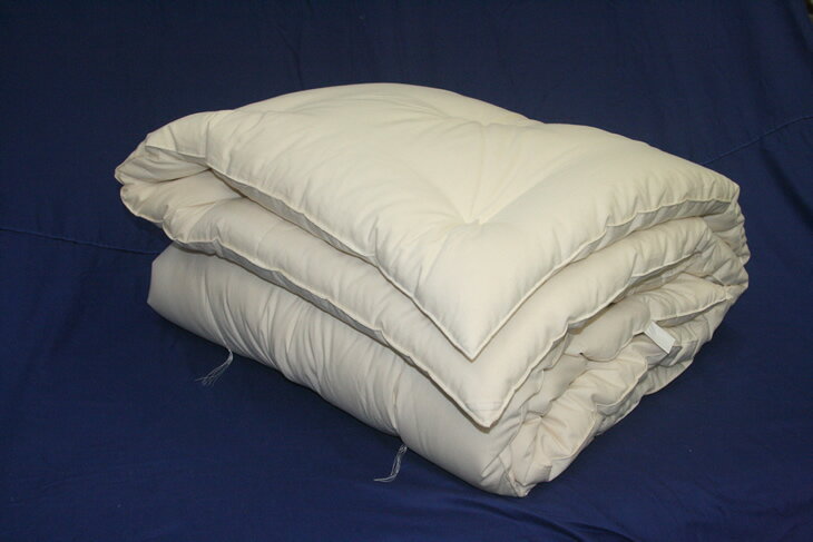 【ふるさと納税】ピマ・コットン 肌掛布団 シングル《肌布団 掛布団 綿 100% 天然 素材 上質 睡眠》◇