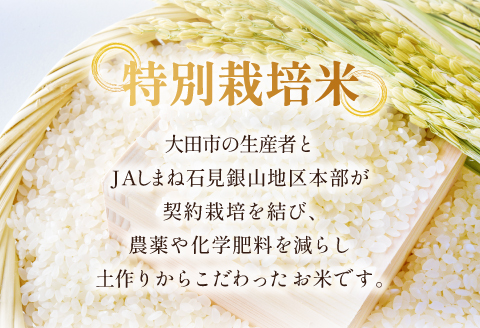 氷感熟成「つや姫」5kg【米 5kg つや姫 特別栽培米 こめ おこめ お米 島根県産 大田市産 氷感熟成 石見銀山氷感つや姫 減農薬 減化学肥料】