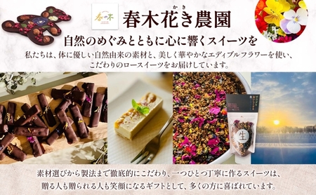 生 グラノーラ エディブルフラワー トッピング   3個 ローグラノーラ トッピング 食用花 蕎麦の実 ヴィーガン グルテンフリー 無添加 オーガニック ヘルシー 腸活 朝食 ナチュラル食品 低温加工