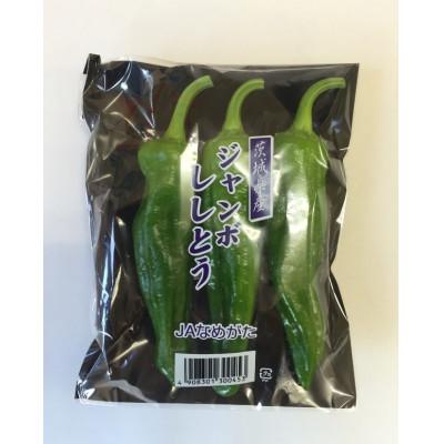 ふるさと納税 行方市 肉厚で柔らかな「ジャンボししとう」100g×10袋