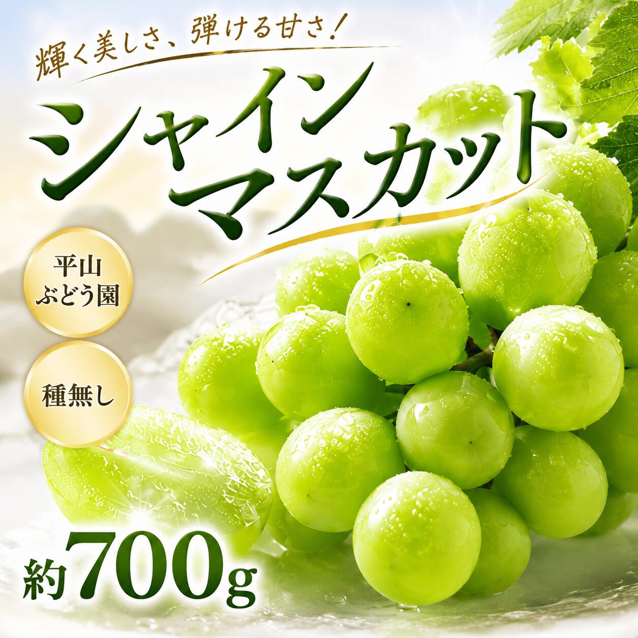 【ふるさと納税】【先行予約】 シャインマスカット 700g ぶどう ブドウ 葡萄 大粒 国産 果物 くだもの しゃいんますかっと 直送 たねなし ふるーつ リピート リピーター 朝どれ 新鮮 2026年発送 千葉県 香取市 HRB001