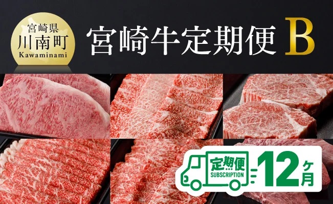 【定期便】宮崎牛12ヶ月定期便Ｂ　肉牛牛肉宮崎牛牛肉定期便送料無料牛肉牛肉ステーキ牛肉スライス送料無料牛肉 [D0674t12]