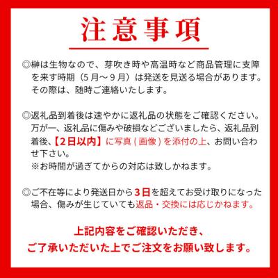ふるさと納税 東白川村 【6ヵ月連続お届け定期便】 神棚用 国産榊 2束 |  | 03