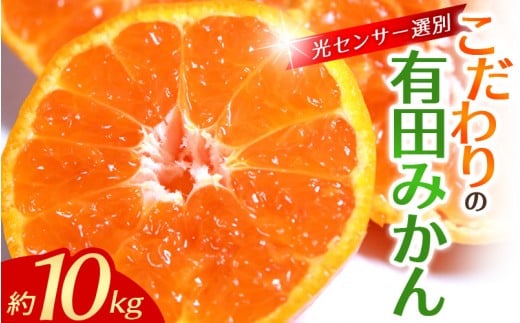 【大玉】みかん 有田みかん 約10kg  大玉3L以上 光センサー選別で厳選 ※2026年12月初旬～2027年1月中旬に順次発送2026年11月～12月に順次発送予定(お届け日指定不可) / みかん 有田みかん 温州ミカン 蜜柑 柑橘 フルーツ 果物 人気 10kg 大玉 ご家庭用 有機肥料 和歌山県 串本町【nuk139F】