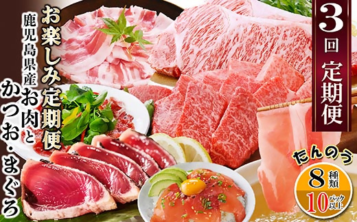 定期便3回配送　お楽しみ定期便(鹿児島県産お肉とかつお・まぐろ) EE-6015【1491146】 _ 定期便 黒毛和牛 鰹 カツオのたたき 黒豚 肉 人気 おすすめ 送料無料 贈答 ギフト 鹿児島県
