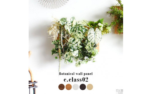 
Botanical c.class 02
