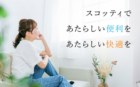スコッティ ボックスティッシュ 54箱 ＋ トイレットロール 48個 セット（トイレットペーパー ティッシュ 日用品）