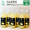 【ふるさと納税】ぐんま名月100%りんごジュース 1000ml×6本