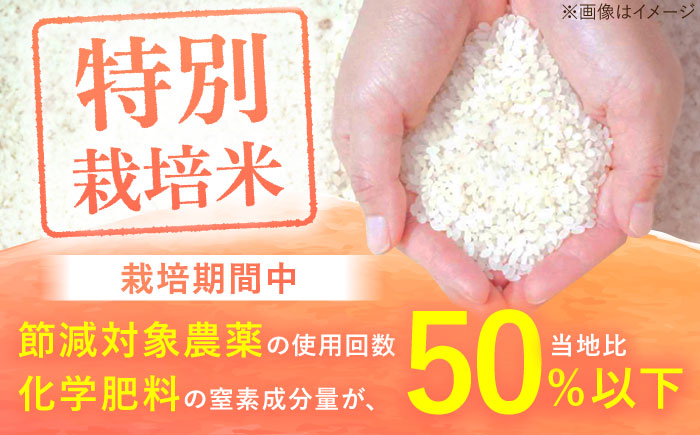 【3回定期便】令和7年産 さがびより 白米 10kg＜15年連続特A評価＞ 配送前精米/江口農園[UBF027] 米 お米 精米 佐賀県産 特A