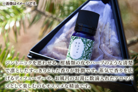 ウラジロモミ精油 5ml