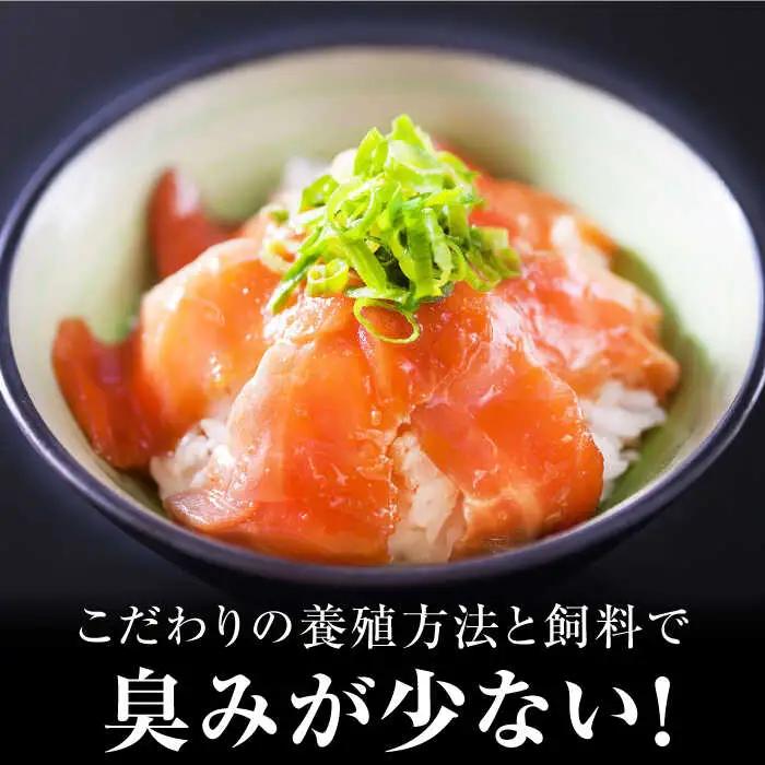 玄海サーモン3種詰合せ（切り身、醤油漬け、クリーム煮） / 佐賀県 [41AECT005]