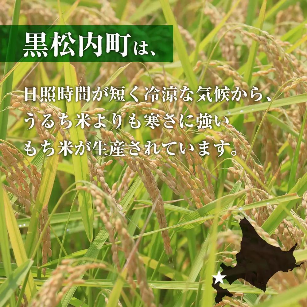 【定期便 隔月6カ月（偶数月お届け）】 きたゆきもち 3kg