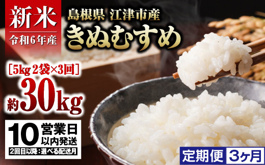
            【定期便】R6産（新米）島根県 江津市産 邑智郡産 きぬむすめ10㎏ 3ヵ月定期便【FY-4】｜R6産 新米 白米 島根県 江津市産 お米 精米 こめ おこめ 米 定期便 3カ月 10キロ 美味しい｜
          