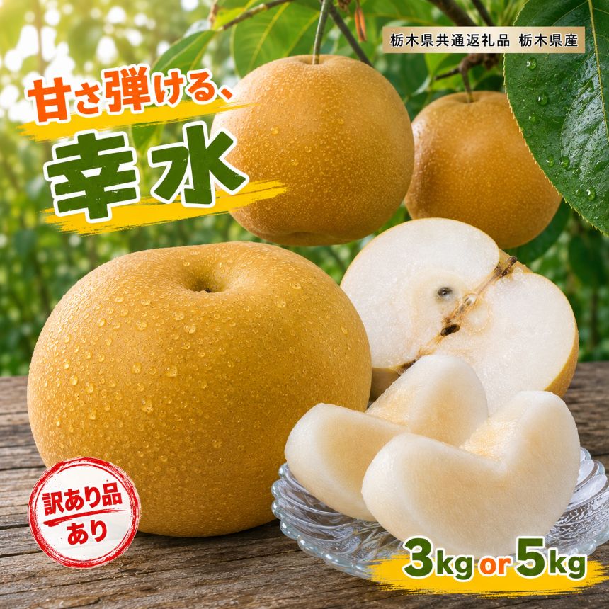 【ふるさと納税】梨 なし 幸水 選べる 訳あり 3kg / 5kg【2027年先行予約】 | フルーツ 果物 果実 先行予約 栃木県共通返礼品 栃木県産 矢板市