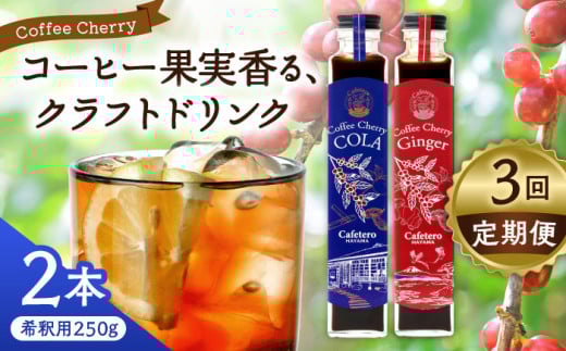 【先行予約】【2025年7月中旬から順次発送】【全3回定期便】カフェテーロ葉山　コーヒーチェリーコーラ 1本 コーヒーチェリージンジャー 1本 計2本 / コーラ エナジードリンク 酸味 コーヒー  神奈川県 葉山町 クラフトコーラ 天然 ドリンク 炭酸【合同会社エンディレクト】 [ASBM022]