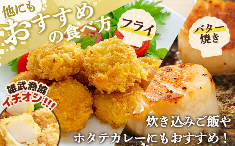 【北海道限定！生ほたて】《期間限定》北海道雄武産 生玉ほたて1ｋｇ　500ｇ×2塩水パック（冷蔵）【0713301】