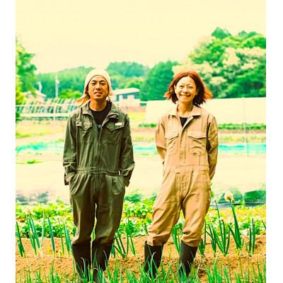 ふるさと納税 原村 季節の野菜セット(Mサイズ) |  | 02