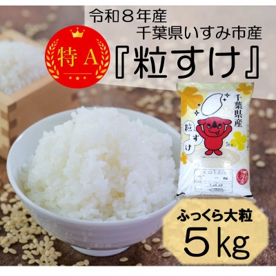 
                  ＜令和8年産米＞ふっくら大粒　千葉県いすみ市産粒すけ　精米5kg【1546628】
                