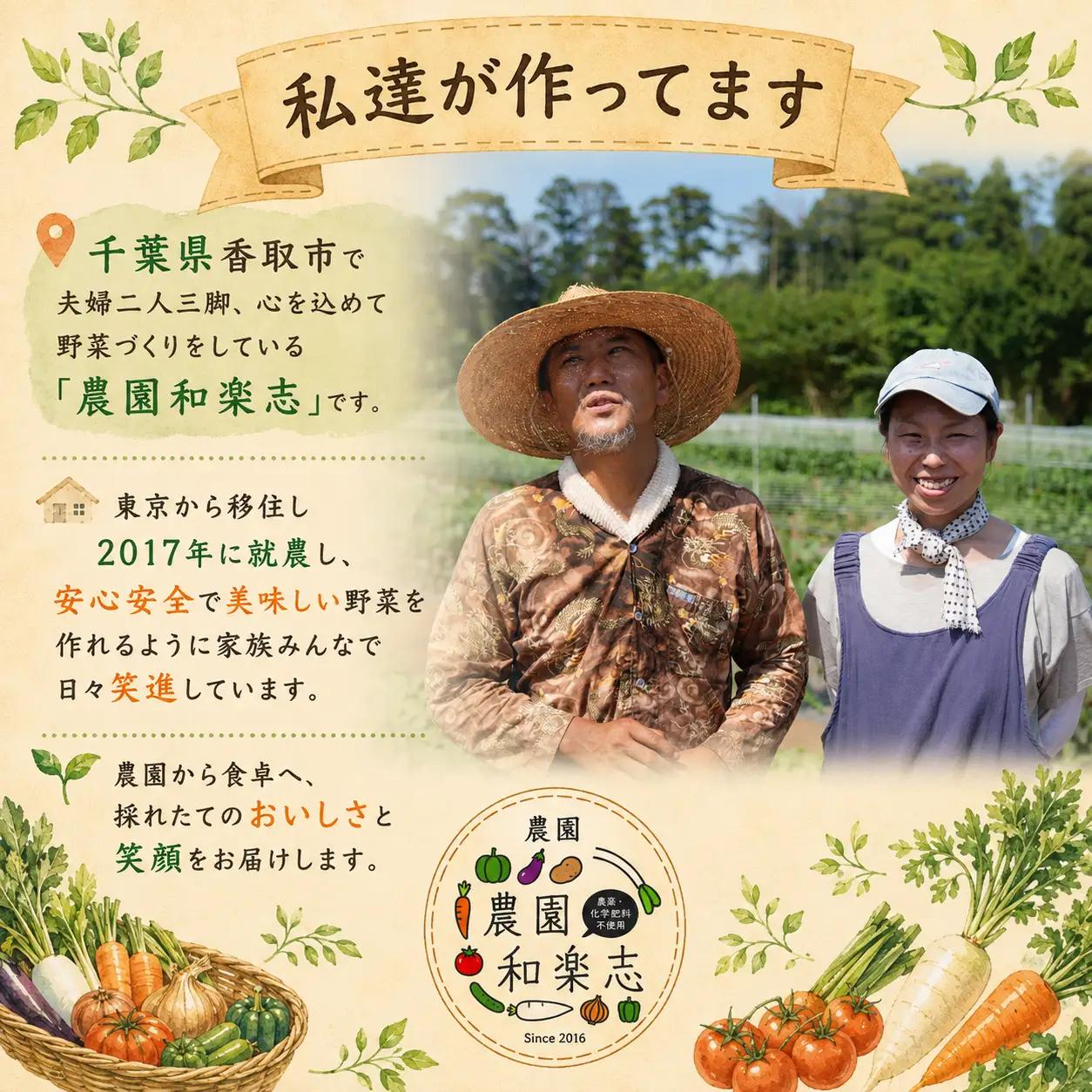 【千葉県香取市】旬の「季節の野菜セット」【詰め合わせ】【WGS002】