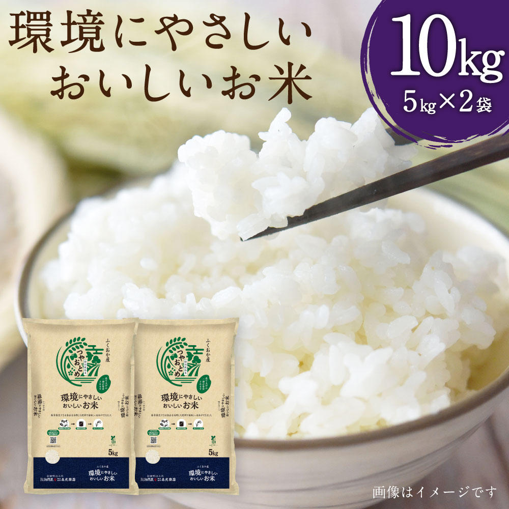 【ふるさと納税】A205 【令和6年産】 環境にやさしいおいしいお米 5kg×2袋 計10kg 福岡産 白米 米 つやおとめ ルフラン 福岡県 みやま市 送料無料 【2025年10月下旬迄順次発送予定】