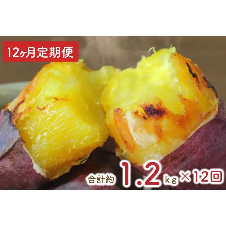 EY-40【12ヶ月定期便】熟成シルクスイート冷凍焼き芋約1kg+おまかせ品種さつまいも　合計約1.2kg