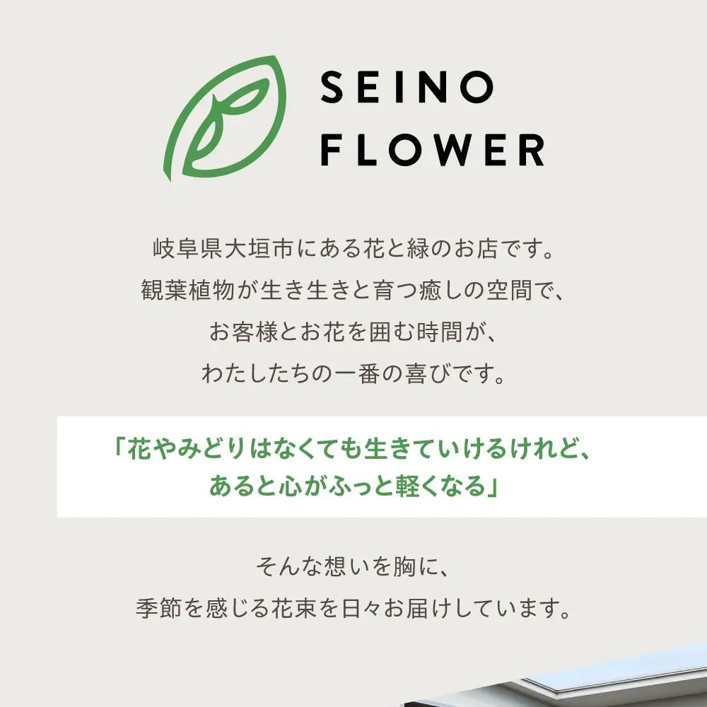 季節のお花 西濃フラワー 定期便 12回　 Lサイズ