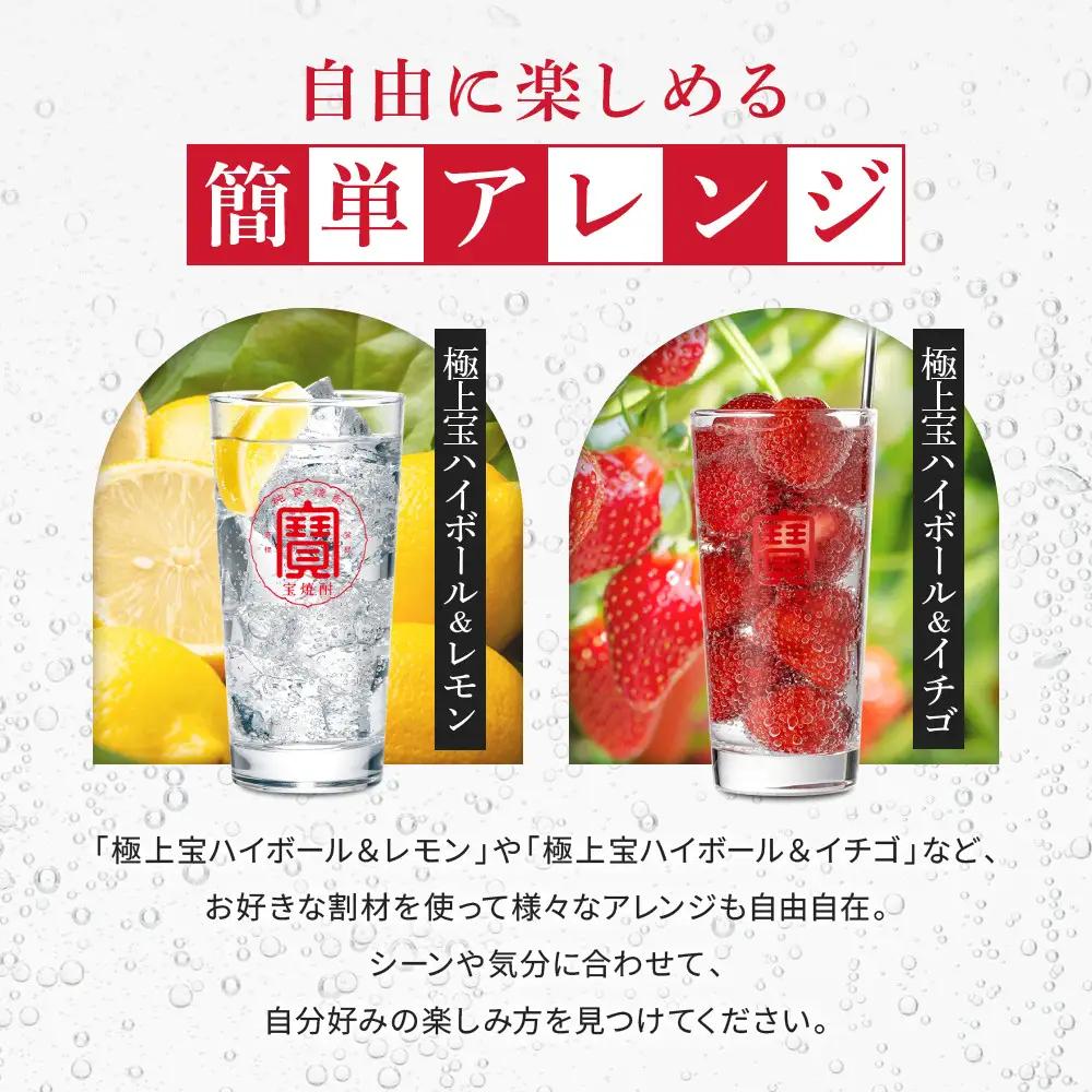 【宝酒造】極上宝ハイボール 350ml×24本｜京都 タカラ 焼酎 チューハイ 酎ハイ ハイボール 人気セット