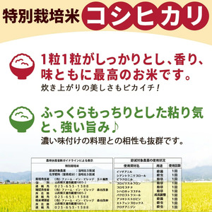 コシヒカリ 15kg [ 令和7年産 ] 米 精米 山形 08-30-042