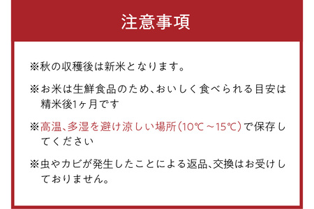 【コシヒカリ】2024年産 京都・久美浜三谷産 丹後コシヒカリ「三谷幸米」 精米 5kg ＜京都／京丹後市久美浜町 三谷地区限定 コシヒカリ 三谷幸米（みたにしあわせまい）＞ コシヒカリをお届け コシ