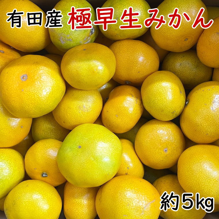 【ふるさと納税】 有田産極早生みかん約5kg（サイズ混合）＜2025年10月中旬～2025年11月上旬頃発送予定＞（お届け日指定不可）