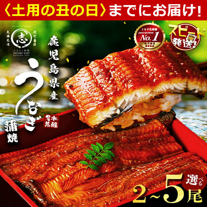 【丑の日までにお届け！7月20日入金まで】【緊急支援企画】【数量限定】鹿児島県産うなぎ蒲焼 名水慈鰻5尾(計800g以上・1尾あたり156〜185g以上) 鰻 ウナギ 5尾 国産 蒲焼 かばやき 冷凍 うな重 ひつまぶし タレ 山椒 ランキング 人気【鹿児島鰻】b