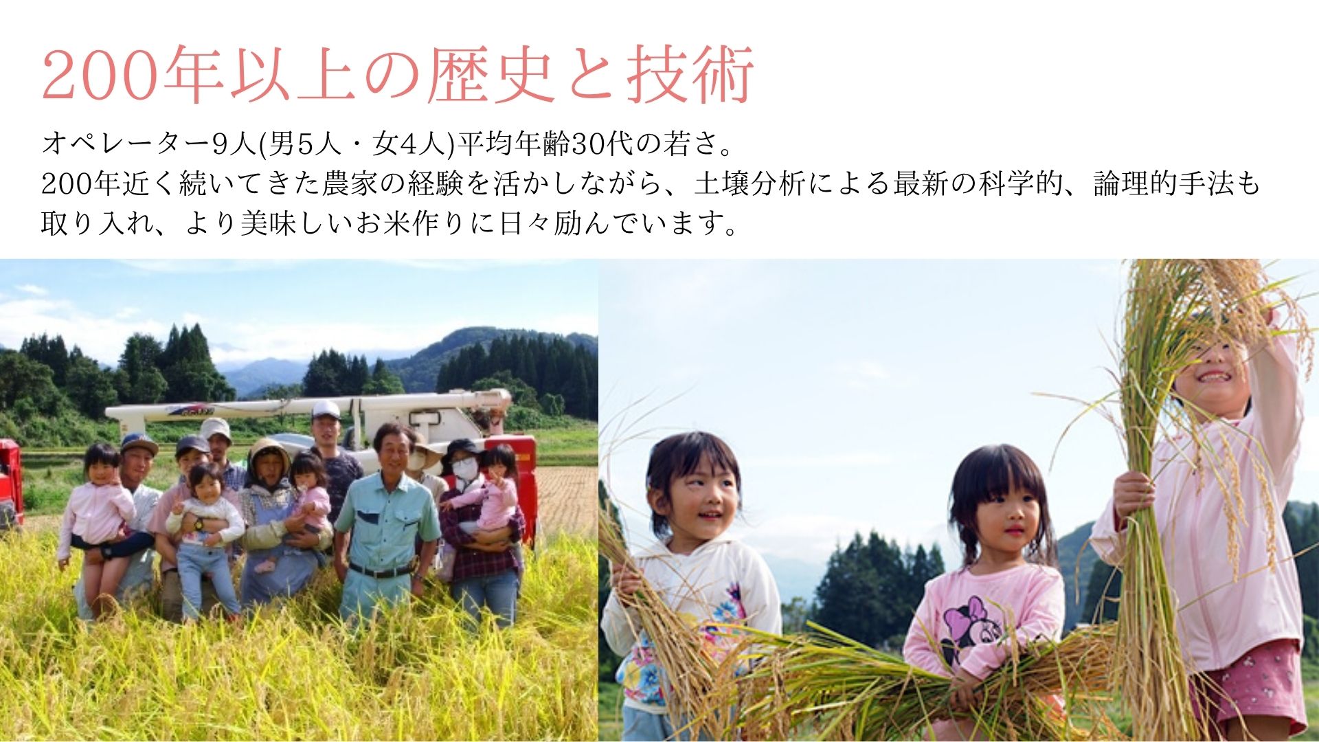 【令和8年産先行予約】【3ヶ月定期便】【有機JAS認証米】魚沼コシヒカリ 苗場プリンセス・プレミアム 精米 20kg(5kg×4袋)×3回 計60kg