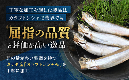 ししゃも雄雌食べ比べ 2ｋｇ セット 訳アリ シシャモ ししゃも カラフトししゃも 大洗 規格外 訳あり わけあり 傷_AV013