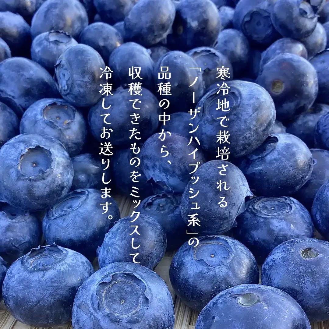【 最短 7日以内 発送 】 冷凍 ブルーベリー 無選別（ 小玉 ～ 大玉 ） 1kg 数量限定 国産 フルーツ スムージー 果物 くだもの 農家直送 スイーツ アイス ノーザンハイブッシュ系 ミック