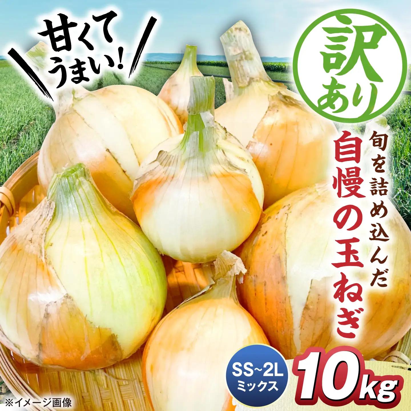 【訳あり】玉ねぎ10kg（全サイズミックス）[AQDZ004]玉ねぎ