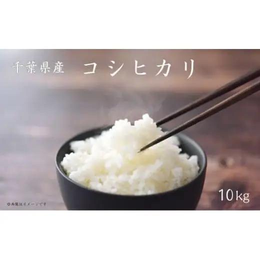 《 令和7年産 》米 コシヒカリ 10kg （ 5kg×2 ） ／ 米 こめ コメ お米 おこめ コシヒカリ こしひかり 令和7年 白米 精米 ごはん 10kg 送料無料