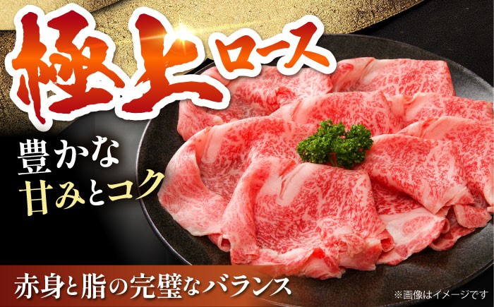 霜降り サーロイン リブロース A5 牛肉 黒毛和牛 佐賀 和牛 定期便 A5ランク