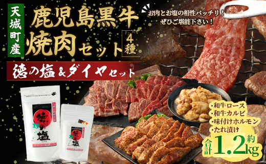 鹿児島 黒牛 焼肉 セット（ 4種 盛り ） 計約1.2kg 徳の塩 ・ ダイヤ セット 計約230g 総計約1.43kg 【セット】 天城町産 鹿児島育ち 黒毛和牛 和牛ロース 和牛カルビ 国産 鹿
